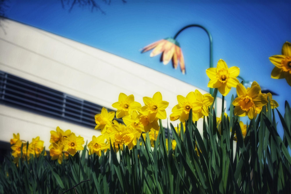 An image showcasing a changing weather Spring for HVAC furnace maintenance