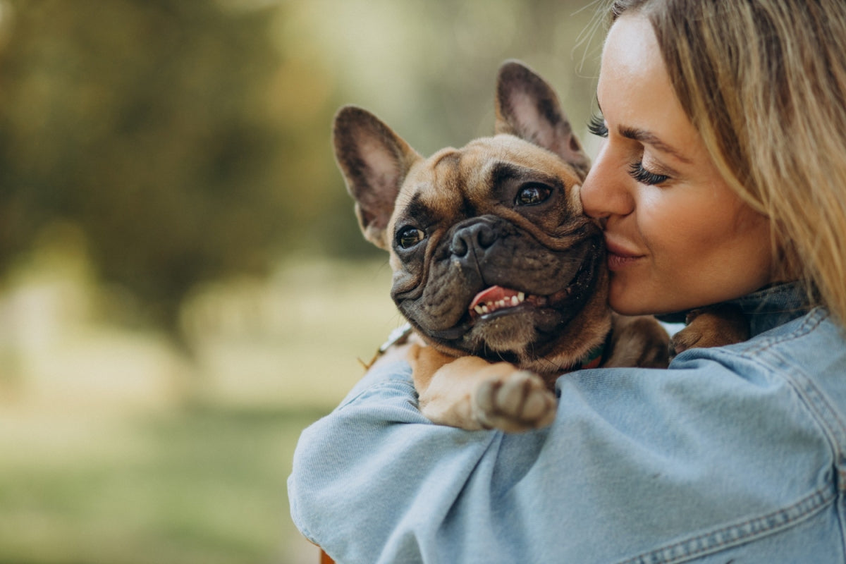 Image depicting  Pet Owners - Optimizing Your HVAC System