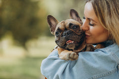 Image depicting  Pet Owners - Optimizing Your HVAC System