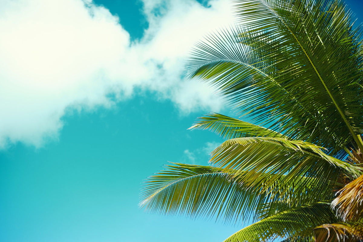 Buying or Selling a House in Tampa and need to replace your HVAC System to get a better sales price or replacing an HVAC system - AC Direct Wholesale Prices